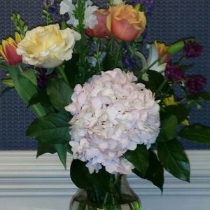 Meet your Posher, Joyce